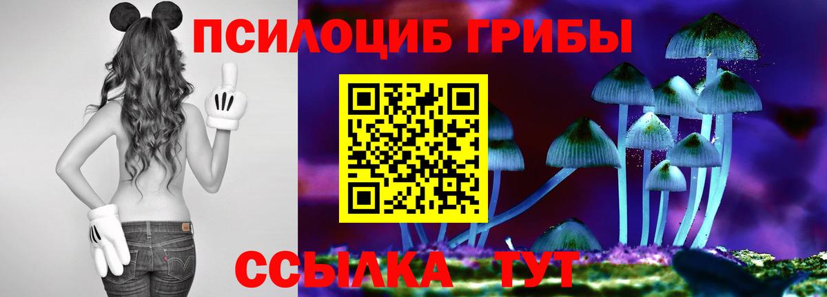Псилоцибиновые грибы мицелий  Вход с VPN  Орёл 